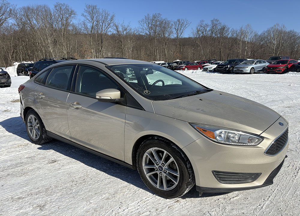 
								FORD FOCUS SE full									