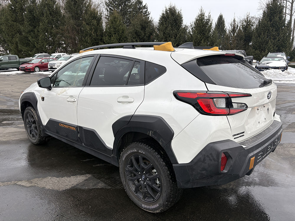 
								SUBARU CROSSTREK WILDERNESS full									