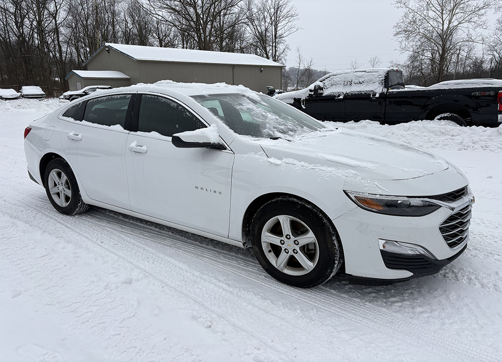 
								CHEVROLET MALIBU LS FLEET full									