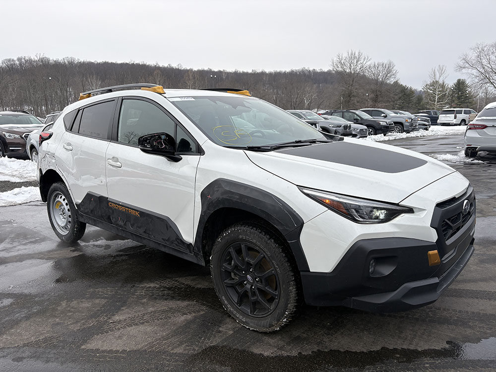 
								SUBARU CROSSTREK WILDERNESS full									