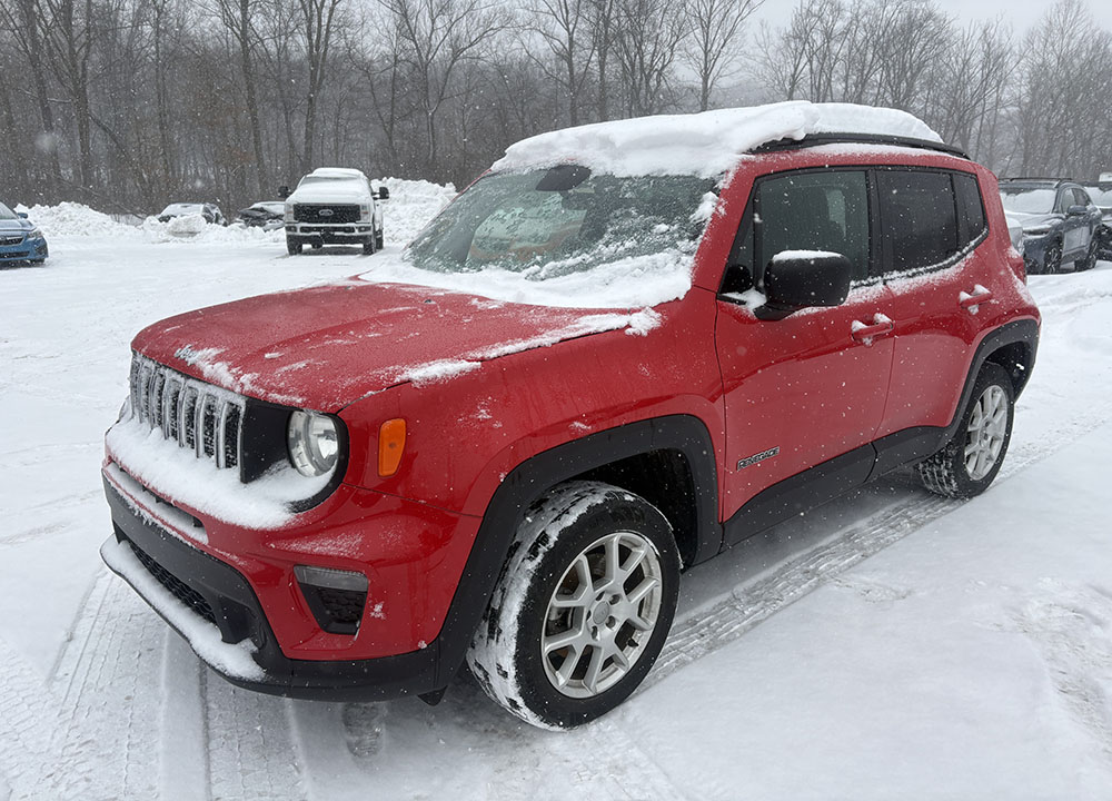 
								JEEP RENEGADE SPORT full									