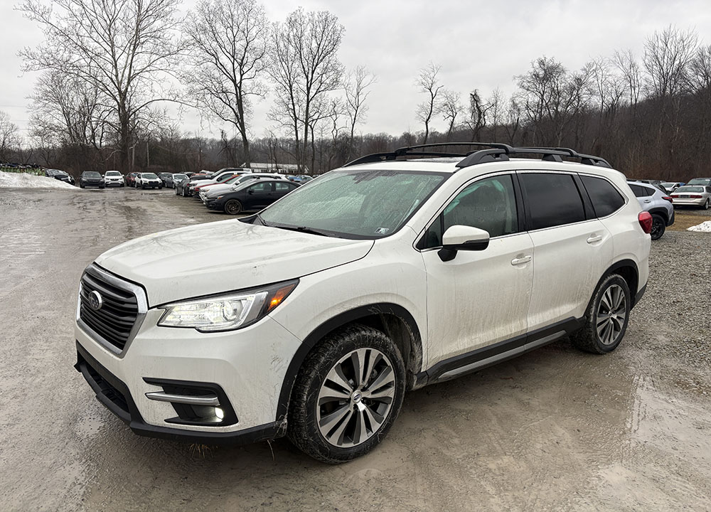 
								SUBARU ASCENT LIMITED full									