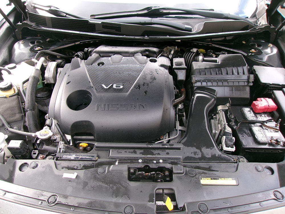 
								NISSAN MAXIMA SV full									