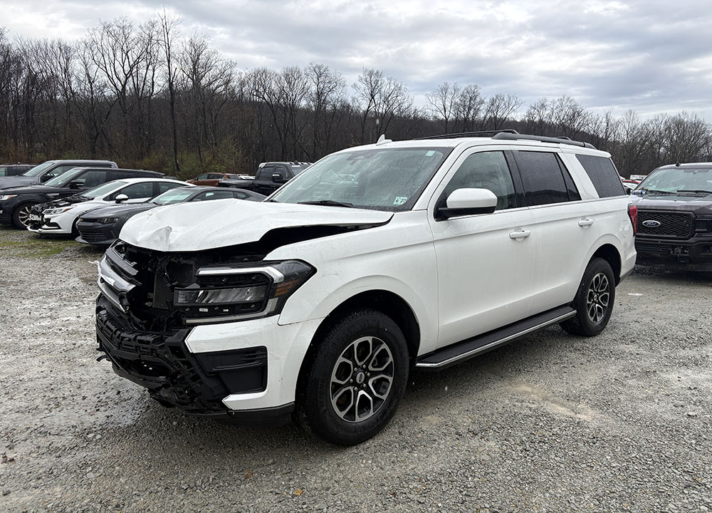 
								FORD EXPEDITION XLT full									