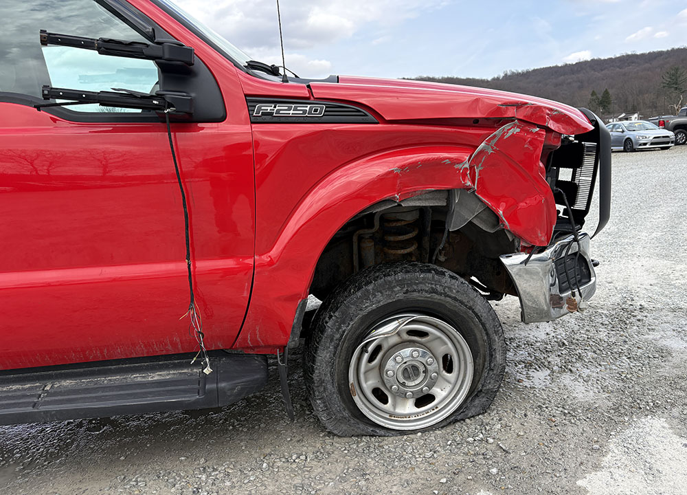 
								FORD F-250 SD REG CAB full									