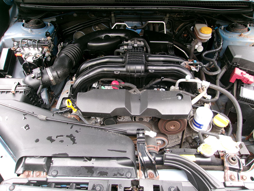 Photo 8