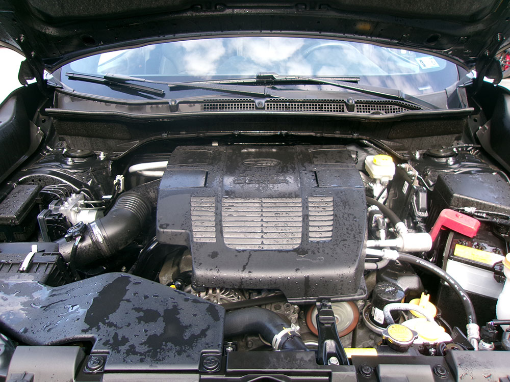 
								SUBARU FORESTER WILDERNESS full									