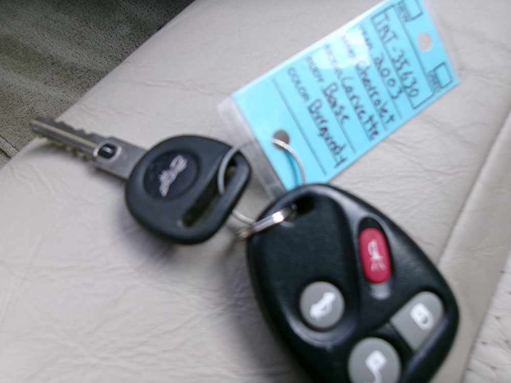 Photo 19