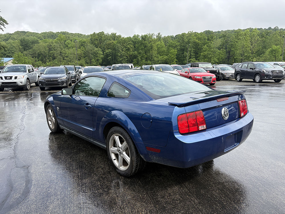 
								2009 Ford Mustang Premium full									