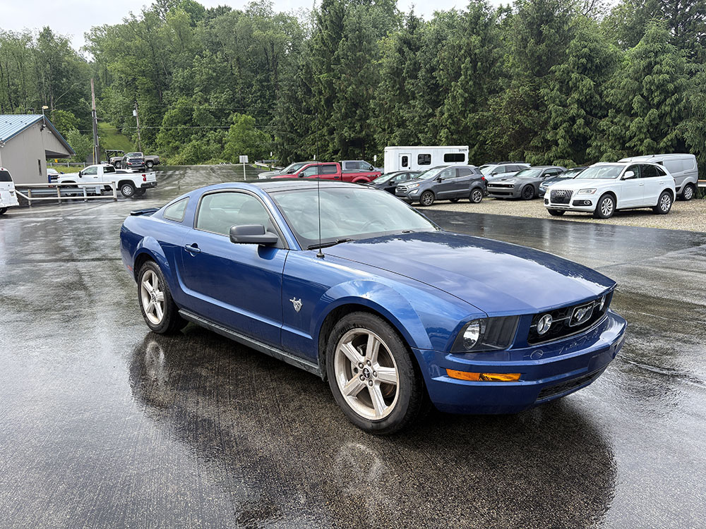 
								2009 Ford Mustang Premium full									