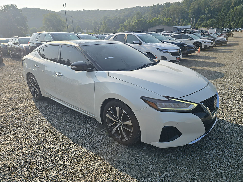 
								2019 Nissan Maxima SL full									