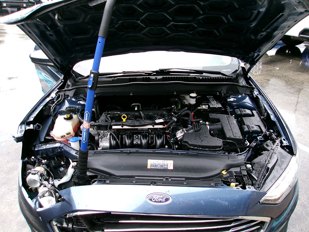 Photo 7