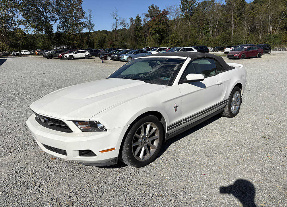 
								2010 Ford Mustang Premium full									